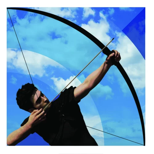 Nobilis Group archer - Soaring Ahead. Always on Target.