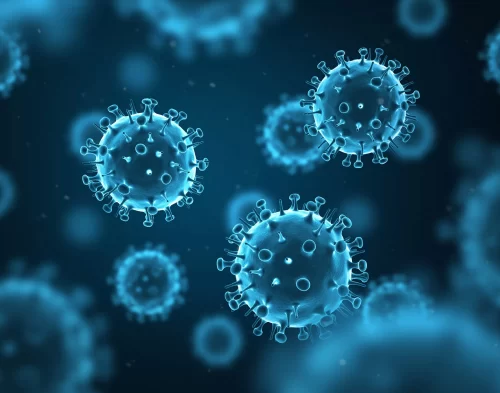 Positively Clean instantly kills viruses and bactera on contact