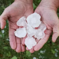 Man holding large hail stones in his hands